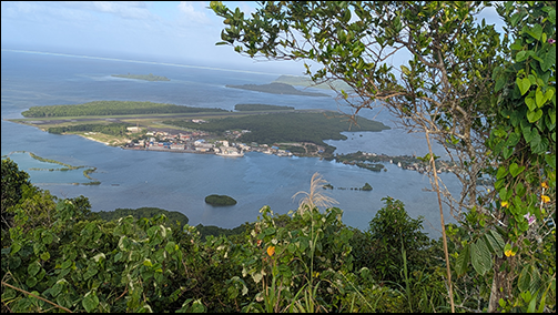 Cogswell Pohnpei