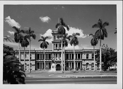 Reunion in Honolulu Family Court.