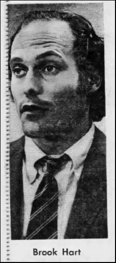 Brook Hart, Hawaii attorney