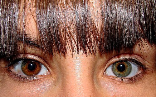 bizarre eyes